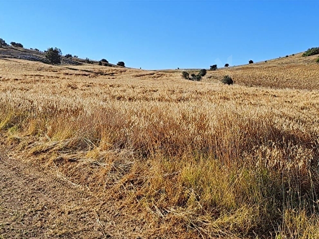 Isparta yalvaç salur 17891m2 tarla - Görsel 10