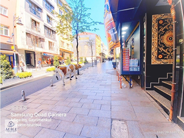Cadde Üstü,  Giriş,  60m²,  Doğalgazlı,  Mutfaklı,  Wcli,  Bahçeli, Kiralık Dükkan & Mağaza - Görsel 9