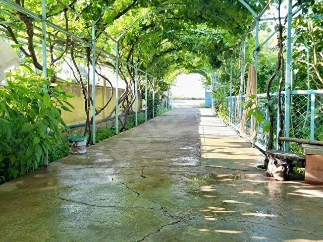 2 KATLI 330 M2 EV 5100 M2 BAHÇESİ TAKASA AÇIKTIR - Görsel 5