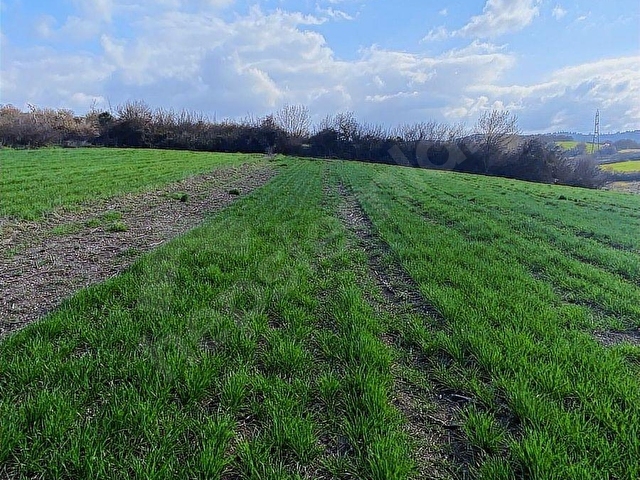 BOĞAZKÖYDE İMAR SINIRINDA 17.700M2 TARLA - Görsel 22