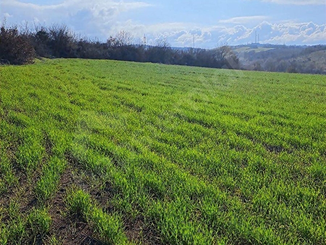 BOĞAZKÖYDE İMAR SINIRINDA 17.700M2 TARLA - Görsel 19