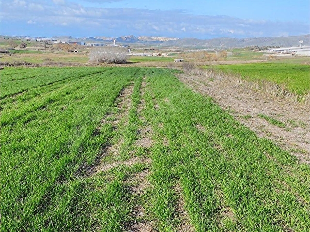 BOĞAZKÖYDE İMAR SINIRINDA 17.700M2 TARLA - Görsel 23