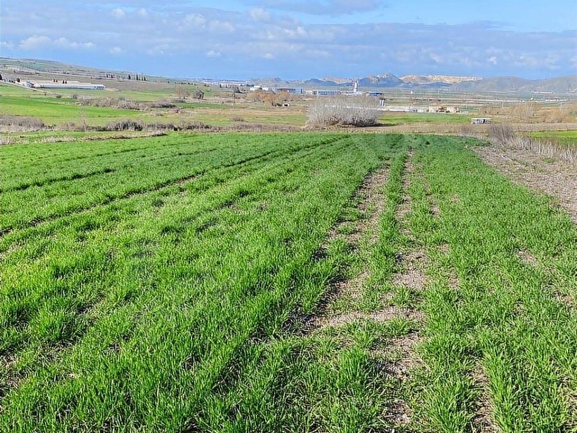 BOĞAZKÖYDE İMAR SINIRINDA 17.700M2 TARLA - Görsel 21
