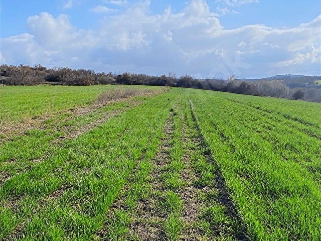 BOĞAZKÖYDE İMAR SINIRINDA 17.700M2 TARLA - Görsel 17