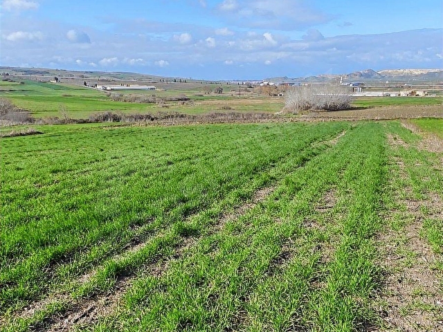 BOĞAZKÖYDE İMAR SINIRINDA 17.700M2 TARLA - Görsel 15
