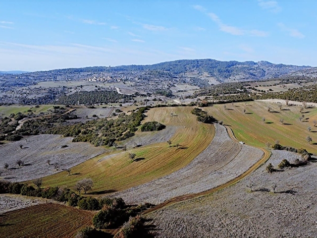 BALIKESİR DURSUNBEY GÖKÇEDAĞ KÖYE YAKIN YOLA CEPHE 6425MT ARAZİ - Görsel 11