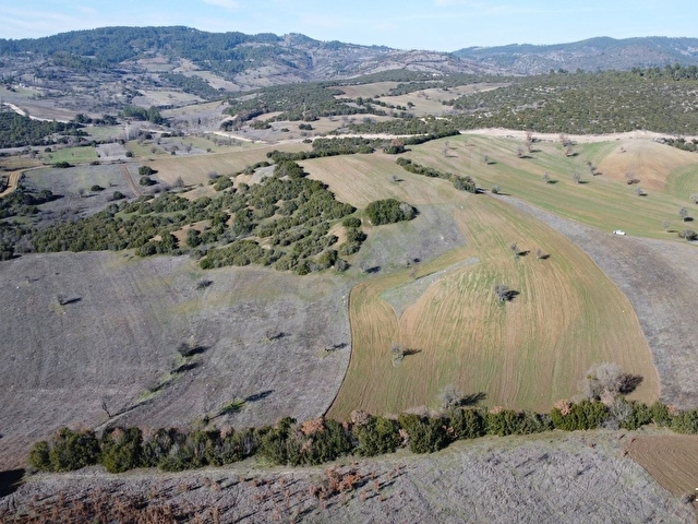 BALIKESİR DURSUNBEY GÖKÇEDAĞ KÖYE YAKIN YOLA CEPHE 6425MT ARAZİ - Görsel 15