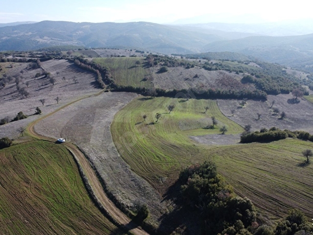 BALIKESİR DURSUNBEY GÖKÇEDAĞ KÖYE YAKIN YOLA CEPHE 6425MT ARAZİ - Görsel 13