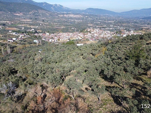 Lenora Gayrimenkülden Çakırbeyli Mah. 13.592 m2 Tek Tapu Satılık Tarla