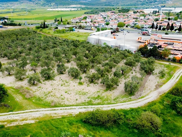 SATILIK YATIRIMLIK TARLA İZMİR ALİAĞA BOZKÖY - Görsel 4