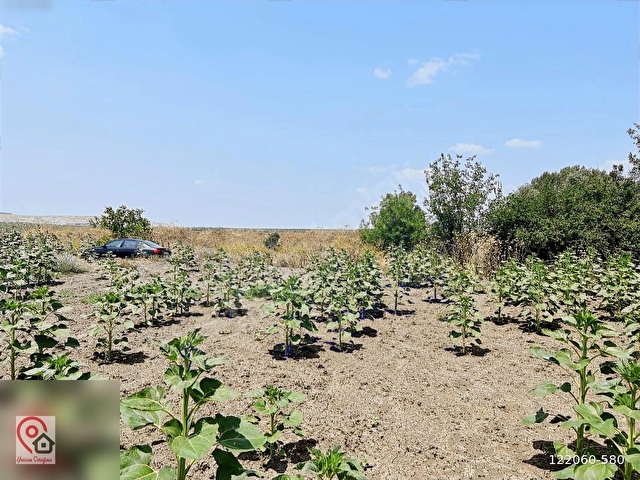 TEKİRDAĞ MALKARA KİREMİTLİK KÖYÜN İÇİNDE SATILIK ARSA - Görsel 16