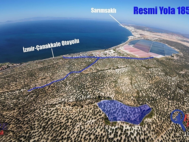 EvRE Emlaktan Ayvalıkta Deniz Manzaralı Satılık Zeytinlik - Görsel 2