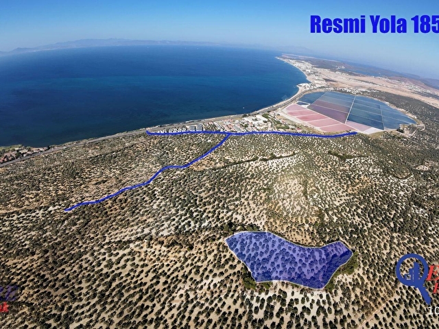 EvRE Emlaktan Ayvalıkta Deniz Manzaralı Satılık Zeytinlik - Görsel 28