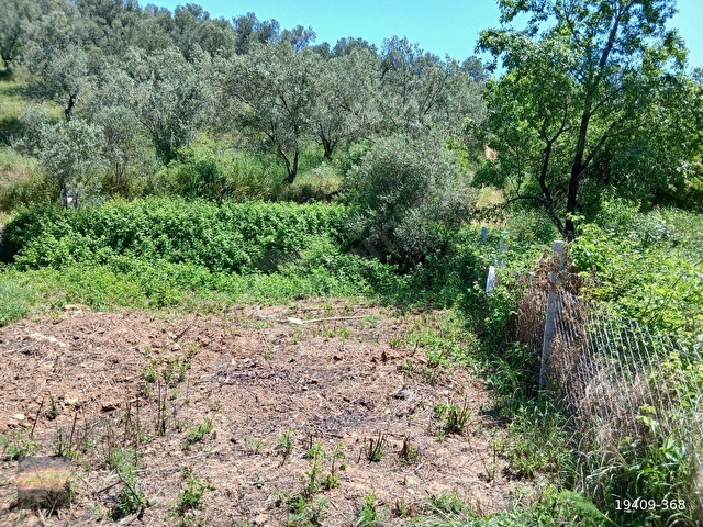 PELİTKÖY DE 300 M2 BAHÇE RESMİ YOLU VAR. ELEKTRİK DİBİNDE. - Görsel 22