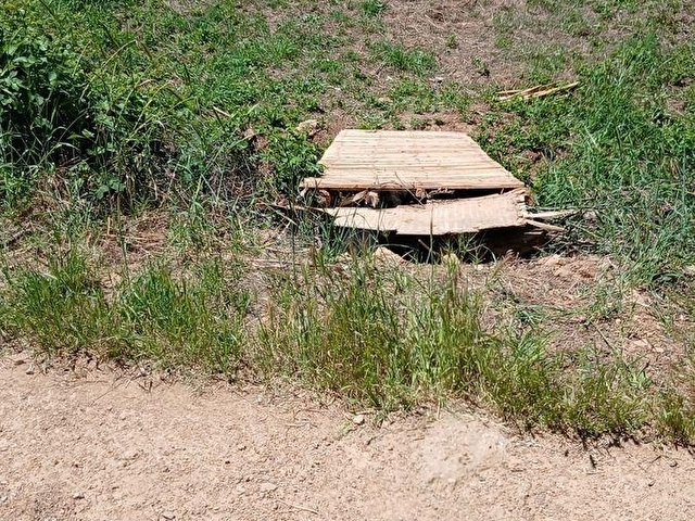 PELİTKÖY DE 300 M2 BAHÇE RESMİ YOLU VAR. ELEKTRİK DİBİNDE. - Görsel 26