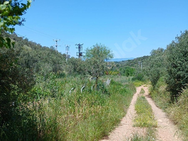 PELİTKÖY DE 300 M2 BAHÇE RESMİ YOLU VAR. ELEKTRİK DİBİNDE. - Görsel 16