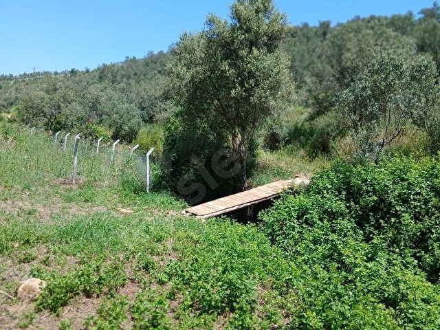 PELİTKÖY DE 300 M2 BAHÇE RESMİ YOLU VAR. ELEKTRİK DİBİNDE. - Görsel 6