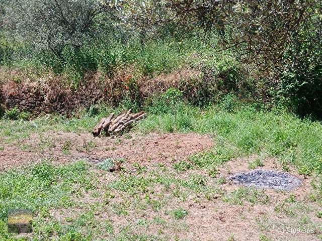 PELİTKÖY DE 300 M2 BAHÇE RESMİ YOLU VAR. ELEKTRİK DİBİNDE. - Görsel 13