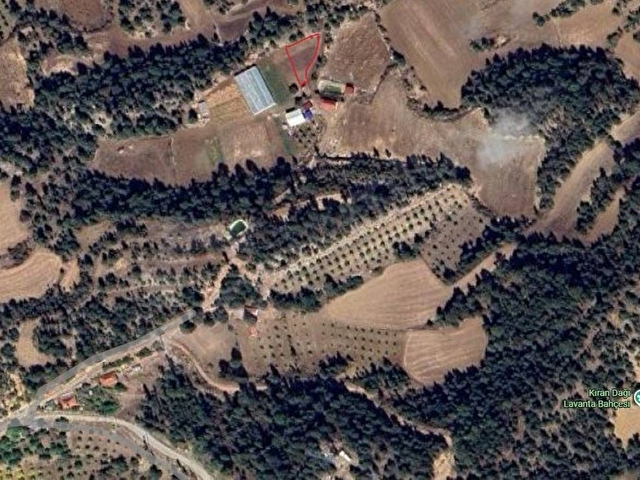 Sahibinden Satılık Tarla 1133 m2 Denizli,Çameli Kırandağı Mevkiinde