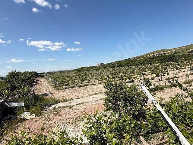 İNCESUDA 9000 M2 ARSASI İLE EVLİ BAĞ - Görsel 18