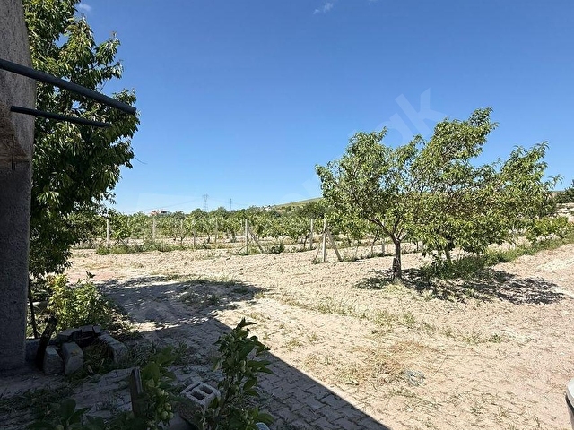 İNCESUDA 9000 M2 ARSASI İLE EVLİ BAĞ - Görsel 19