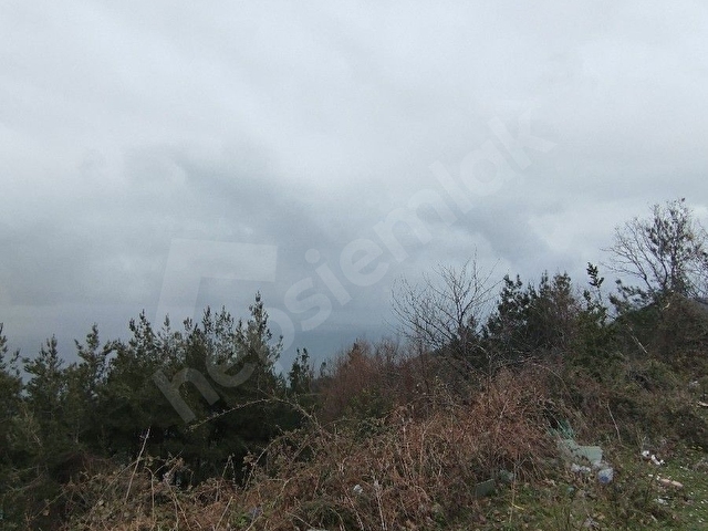 Sinop ayancık maden köyü deniz manzaralı - Görsel 14