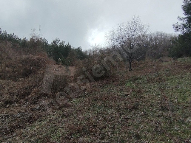 Sinop ayancık maden köyü deniz manzaralı - Görsel 19