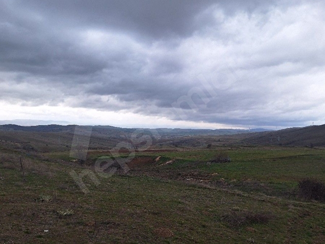 EĞRİÖZ MAHALLESİNDE KAÇIRILMAYACAK FIRSAT TARLA - Görsel 5