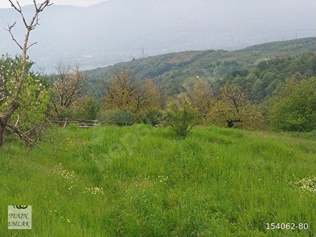 KARTEPE AVLUBURUN KÖYÜNDE SATILIK 7 DÖNÜM GÖL MANZARALI TARLA. - Görsel 11