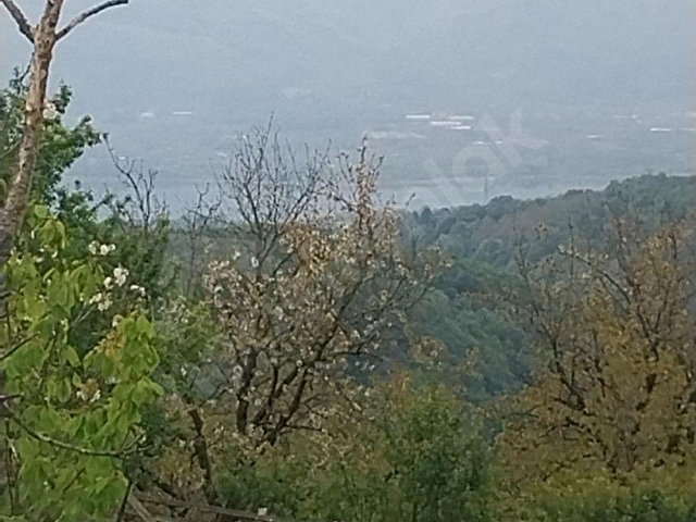 KARTEPE AVLUBURUN KÖYÜNDE SATILIK 7 DÖNÜM GÖL MANZARALI TARLA. - Görsel 13
