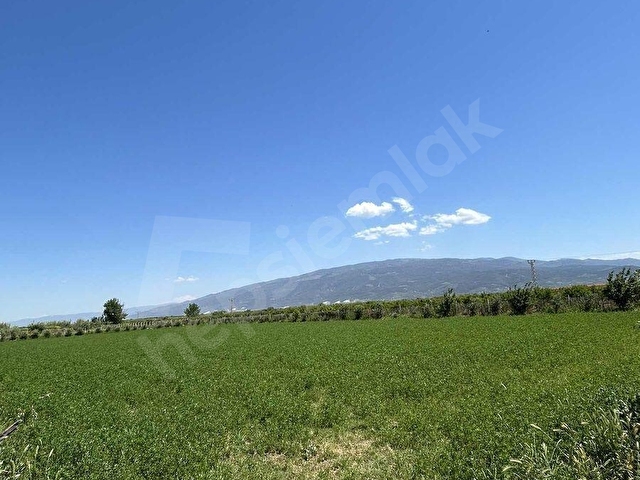 Nazilli Sümer Mah Satilik 4.000 m2 İçınde 3+1 Müstakil Ev - Görsel 13