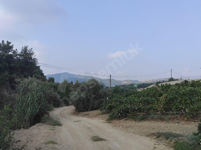 mersin Tarsus dedeler mahallesi  satılık bağ - Görsel 19