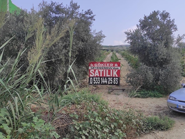 mersin Tarsus dedeler mahallesi  satılık bağ - Görsel 14