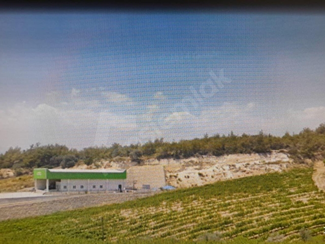mersin Tarsus dedeler mahallesi  satılık bağ - Görsel 7