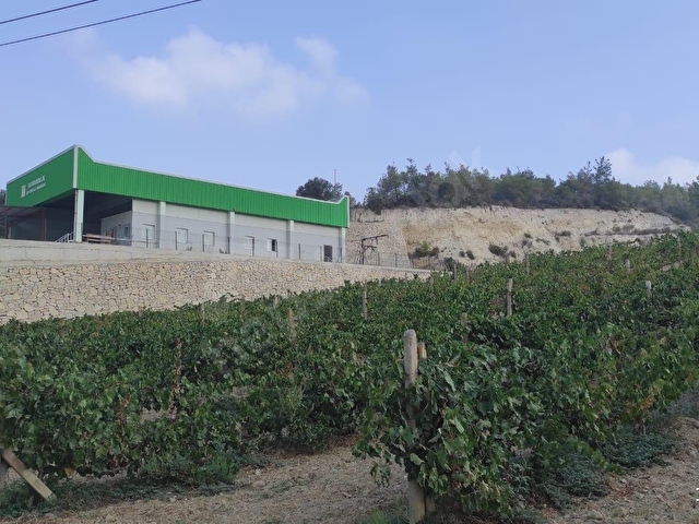 mersin Tarsus dedeler mahallesi  satılık bağ