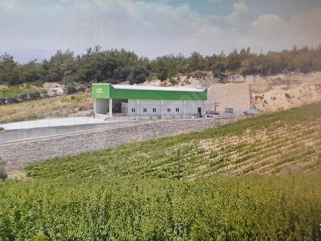 mersin Tarsus dedeler mahallesi  satılık bağ - Görsel 8
