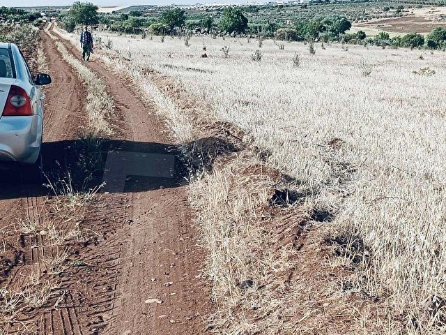 ÇINAR EMLAKtan AKINCIDA RESMİ YOL ÜZERİ ZEYTİNLİK - Görsel 18