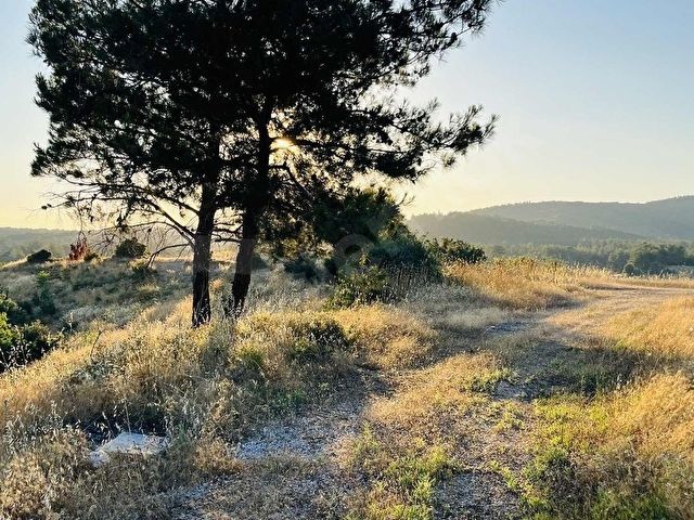 Beyciler Mahallesinde Satılık Tarla - Görsel 4