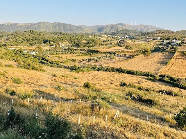 Beyciler Mahallesinde Satılık Tarla - Görsel 15