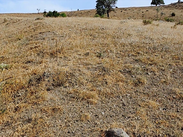 NOVADAN ÇUBUK KÜÇÜKALİDE,MERA YANINDA 7790 M2 TARLA-FİYAT DÜŞTÜ - Görsel 13