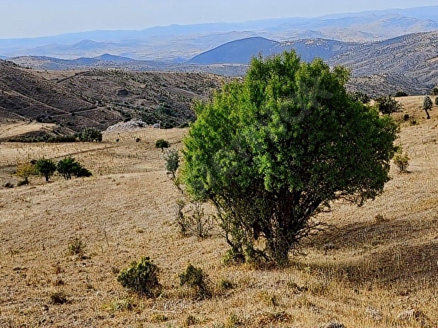 NOVADAN ÇUBUK KÜÇÜKALİDE,MERA YANINDA 7790 M2 TARLA-FİYAT DÜŞTÜ - Görsel 9