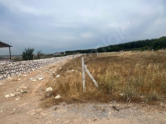 PREMİUMDAN MENDERES BULGURCADA FIRSAT TARLA - Görsel 13