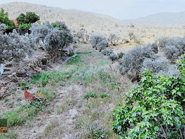 Gencer Gayrimenkulden Meşhur Belen Kahvesinde İmarlı Tarla - Görsel 13