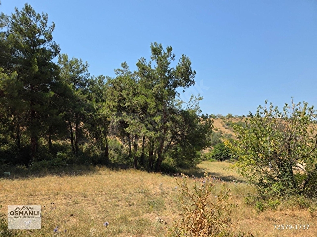 İMARA 500 METRE OSMANELİ MERKEZDE 3.786 M2 YATIRIMLIK BAHÇE - Görsel 26