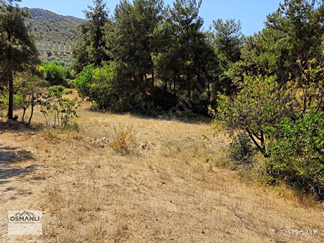 İMARA 500 METRE OSMANELİ MERKEZDE 3.786 M2 YATIRIMLIK BAHÇE - Görsel 9