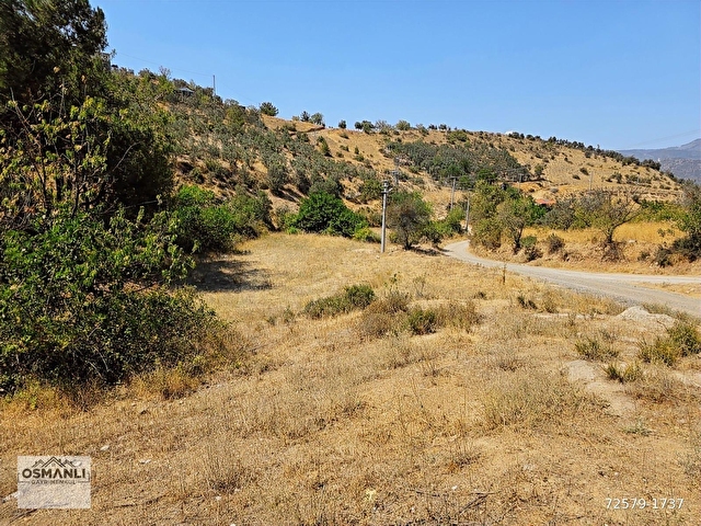 İMARA 500 METRE OSMANELİ MERKEZDE 3.786 M2 YATIRIMLIK BAHÇE - Görsel 6