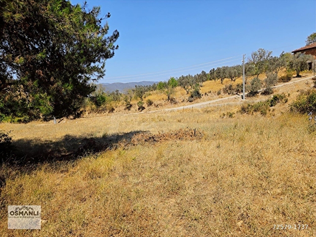 İMARA 500 METRE OSMANELİ MERKEZDE 3.786 M2 YATIRIMLIK BAHÇE - Görsel 25