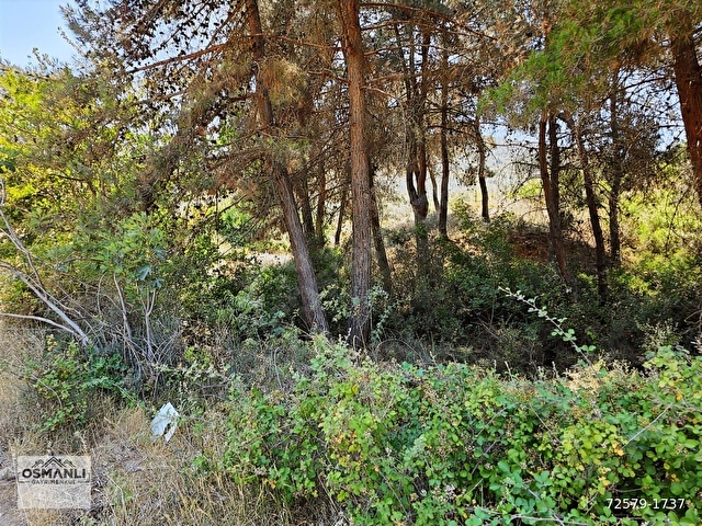 İMARA 500 METRE OSMANELİ MERKEZDE 3.786 M2 YATIRIMLIK BAHÇE - Görsel 21