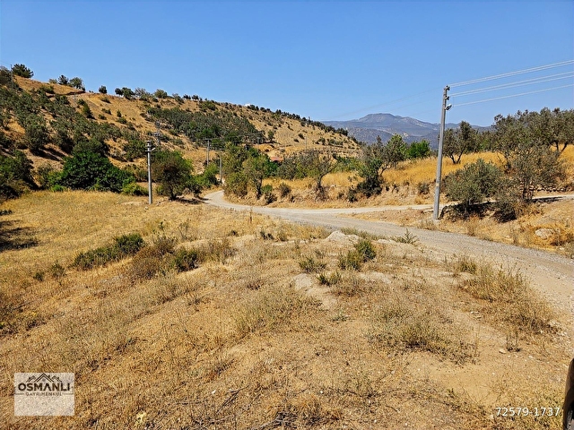İMARA 500 METRE OSMANELİ MERKEZDE 3.786 M2 YATIRIMLIK BAHÇE - Görsel 4
