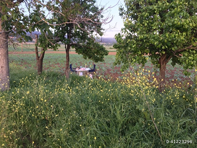 YOLA SIFIR Köye Yakın 3000 m2 HOBİ BAHÇESİ Sahibinden - Görsel 3